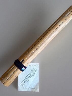 Nice Clean 20” Long Cactus 🌵 Rain Stick Shaker Handmade Instrument Rainmaker